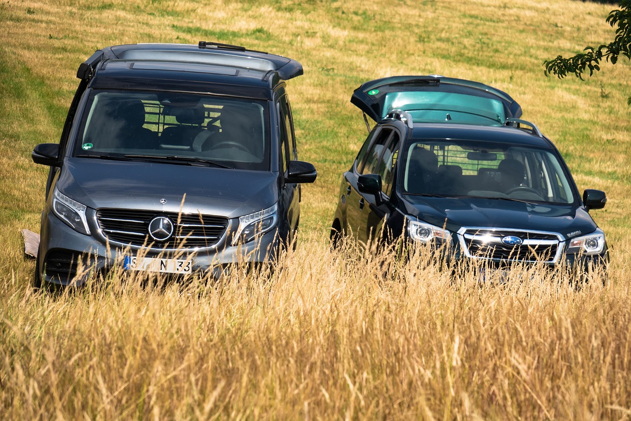 Safe Tailgating: A Fan’s Guide